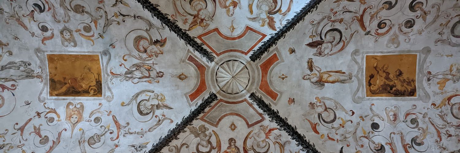 CarloCiuffoni's profile banner image