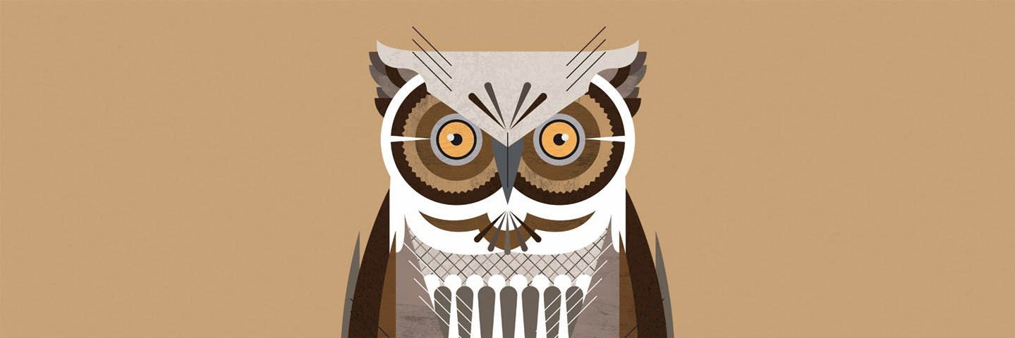 muratdznl's profile banner image