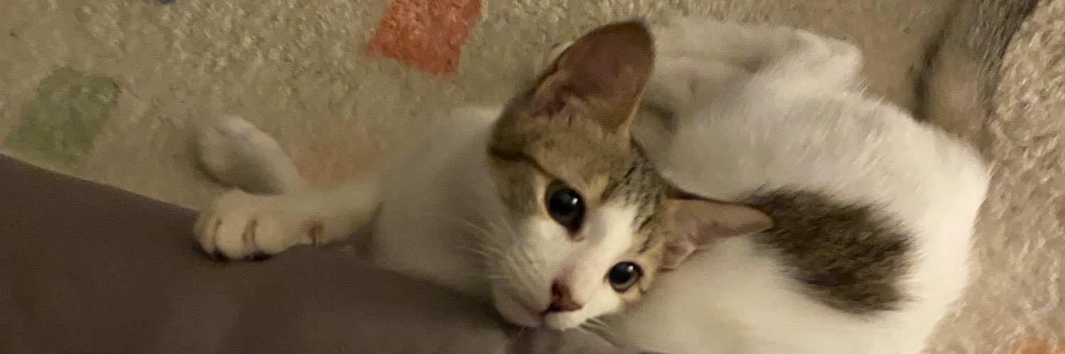 marijoeeeee's profile banner image