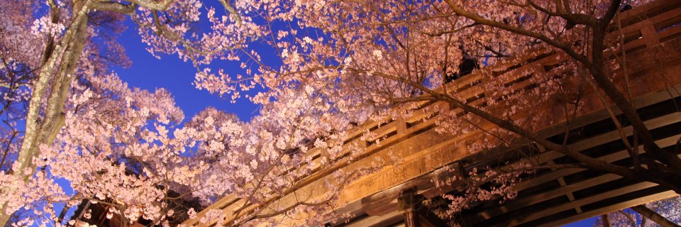 kazutya's profile banner image