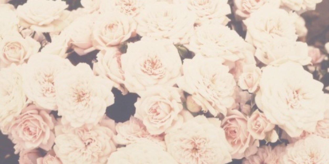 cesssantos's profile banner image