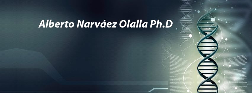janarvaezo's profile banner image