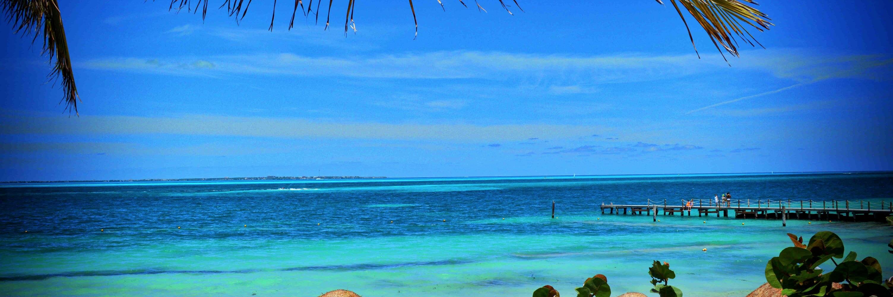 Rod_Doyle's profile banner image