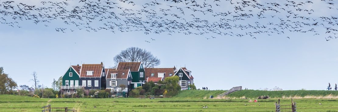 Rodi.nl Waterland banner