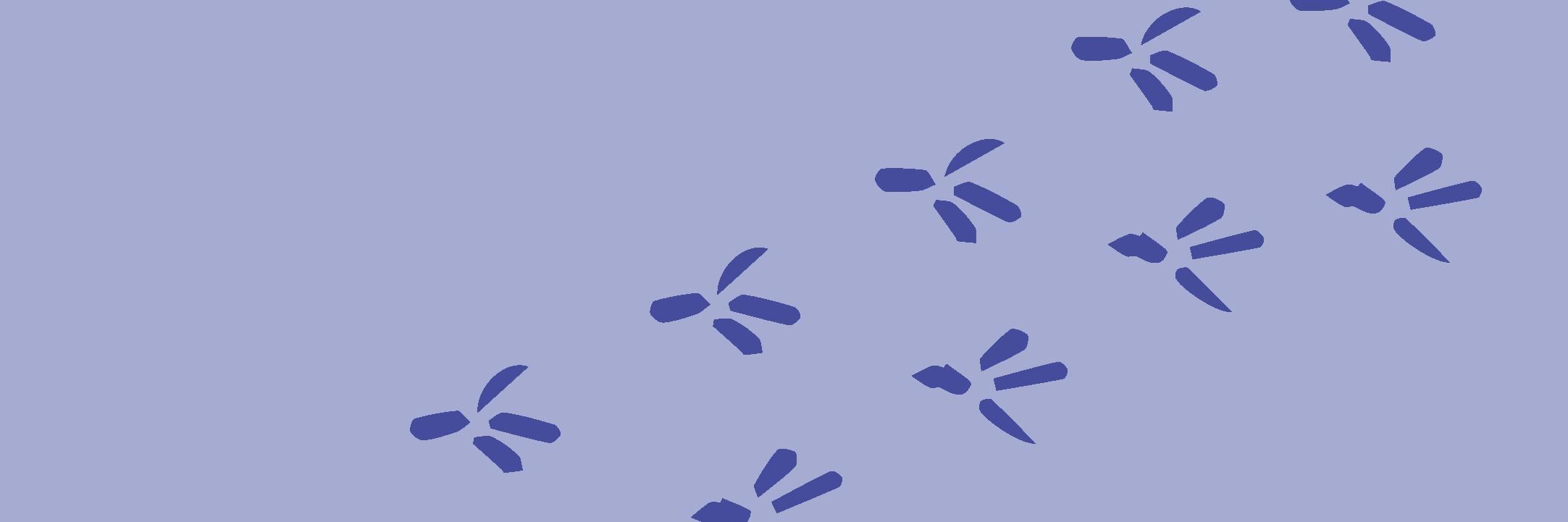 Humaniorastudenten banner