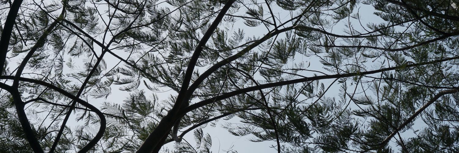 dharmalauw's profile banner image
