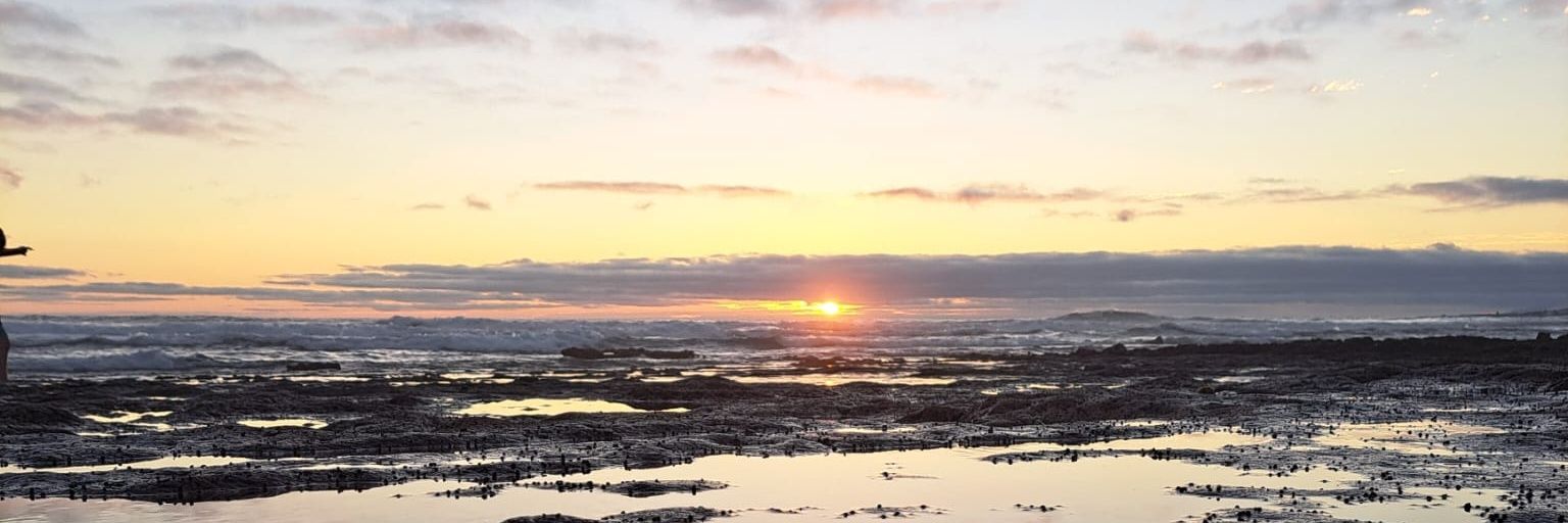 Dr Sonali Shah banner