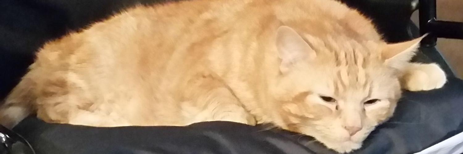 IrishPirate248's profile banner image