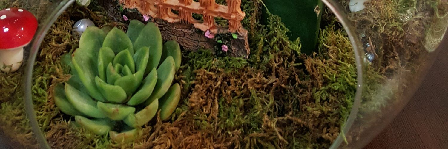 ayntryk's profile banner image