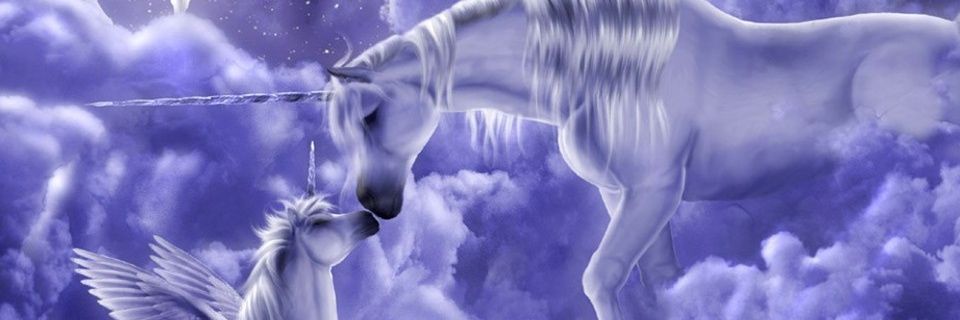 CollarYellow's profile banner image