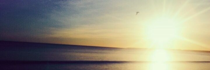 RoochiRo's profile banner image
