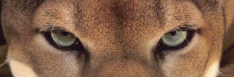 JulioEdisonOba1's profile banner image
