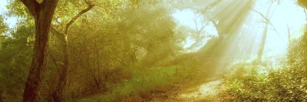 _strmusic_ Profile Banner