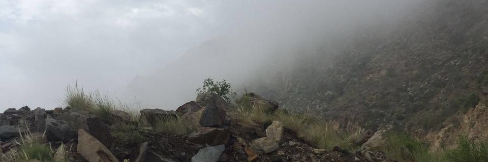 neen33696's profile banner image