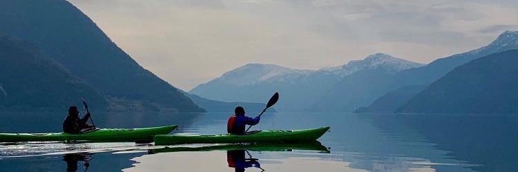 mechazilla.eth banner