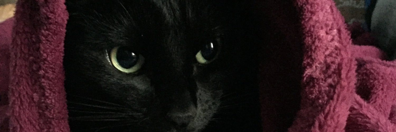 LittleMissSusi's profile banner image