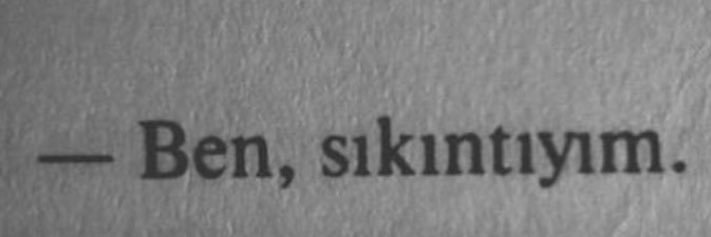 aslinesillioglu's profile banner image