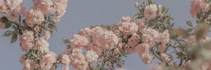 Kicelek1's profile banner image