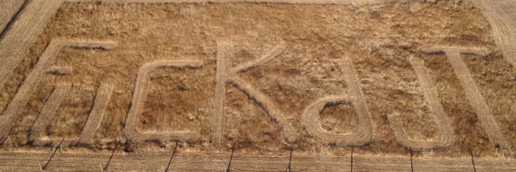 MoxeeBeMe's banner