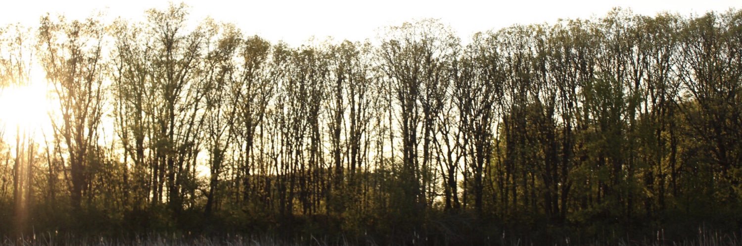 Pod of Dreams Podcast banner