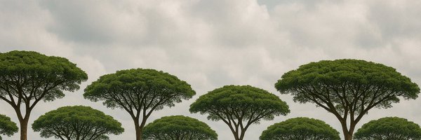 dimgrr Profile Banner