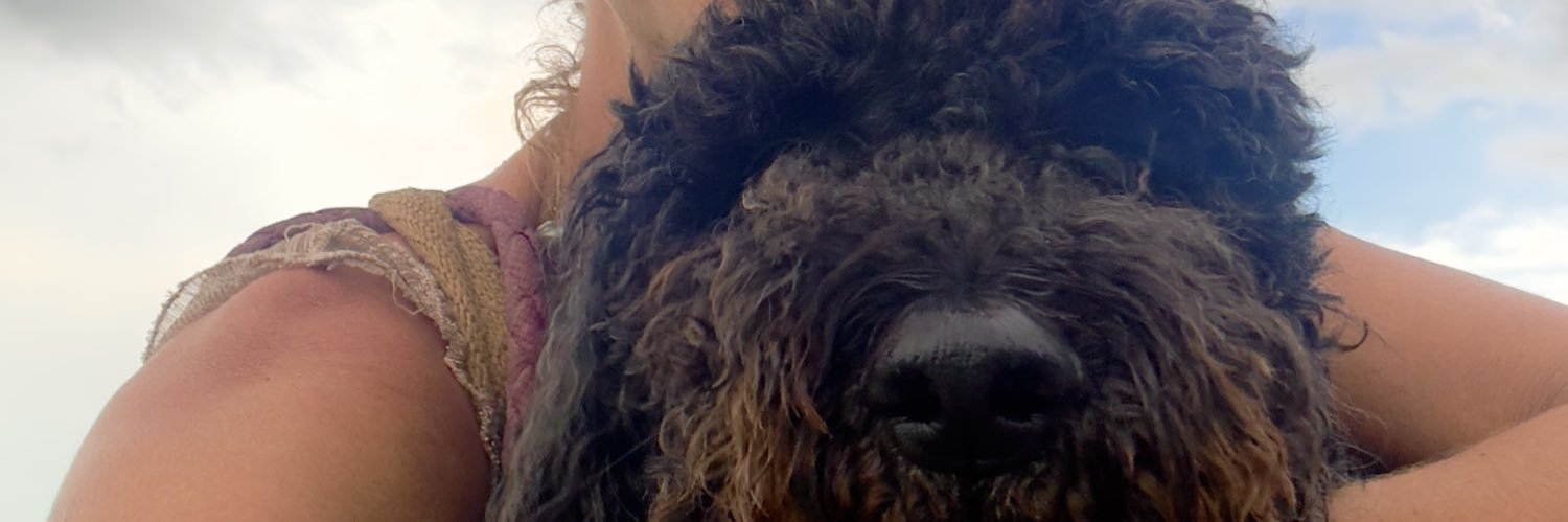 poodle mom ☀️🇺🇸 🇲🇽🌵🐘🐩 banner