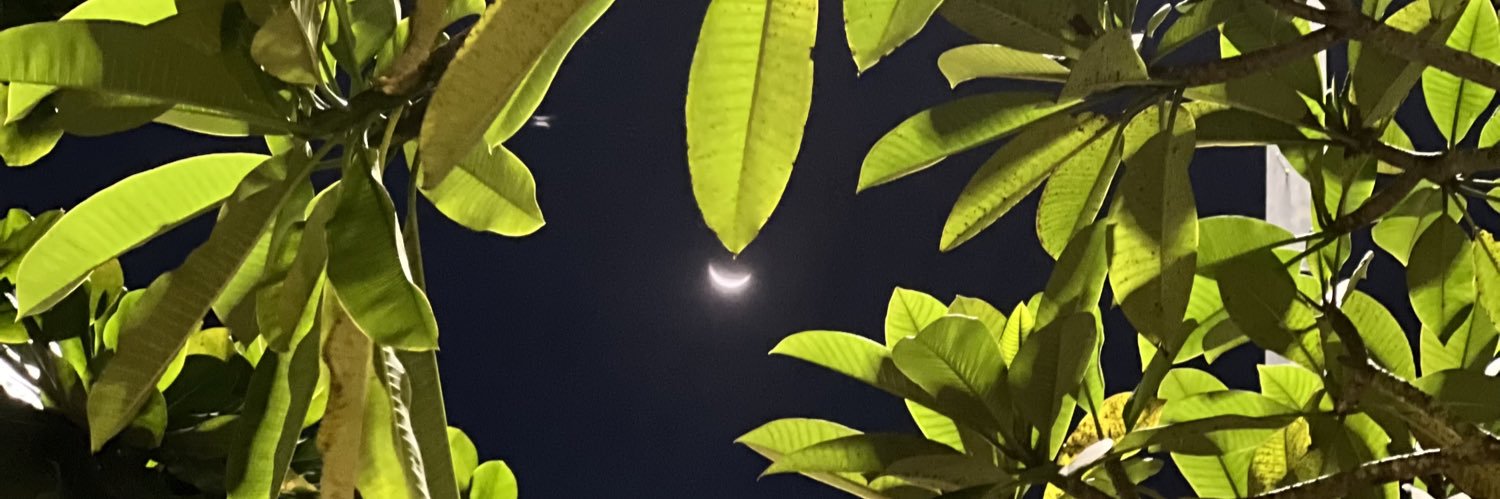 bindsids's profile banner image