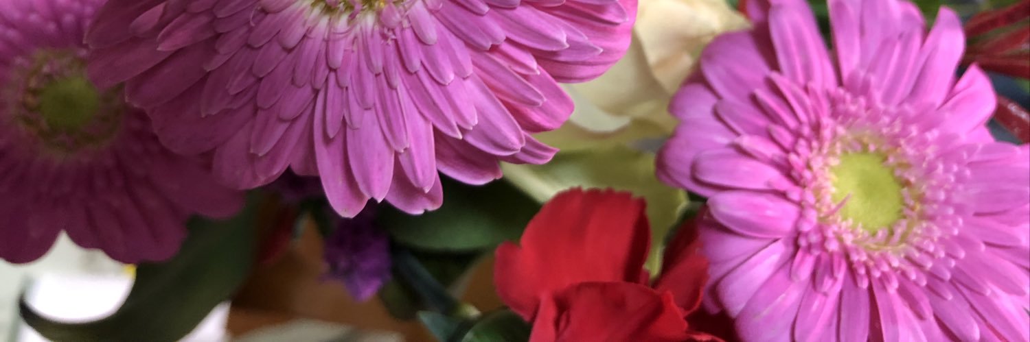 alphaindy's profile banner image