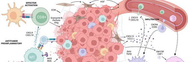 medoncodoc Profile Banner