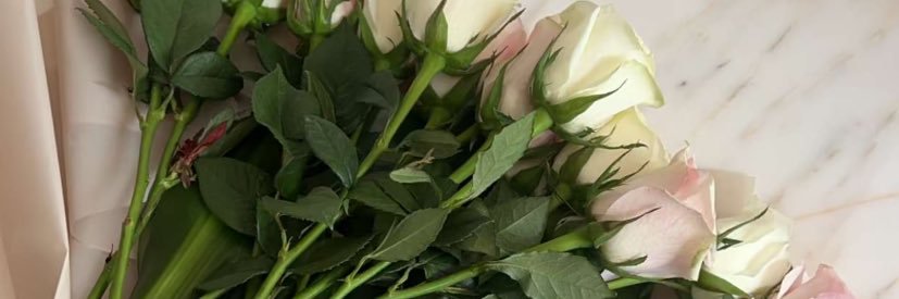 il_ille's profile banner image