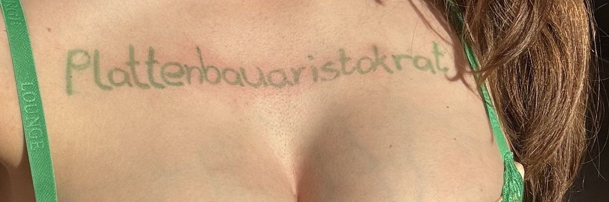 Plattenbauaristokrat's banner