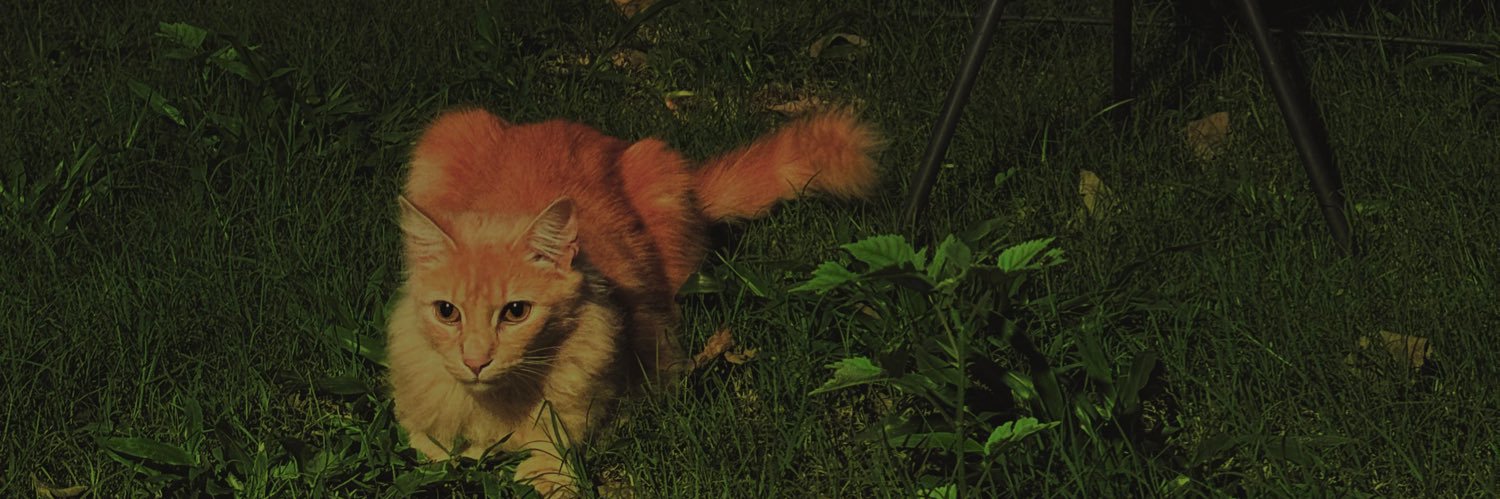 inhell_always's profile banner image