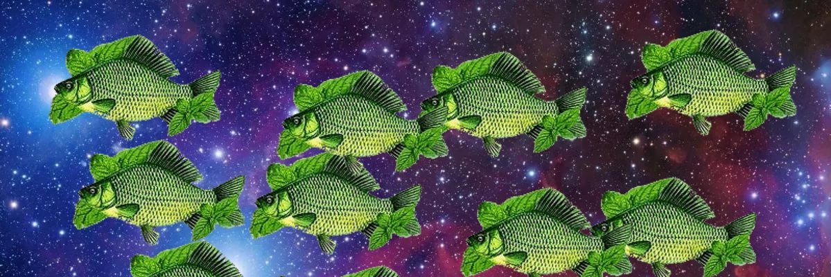 Мятны карасік🍃🐟 banner
