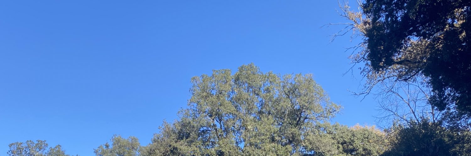 εmmα banner