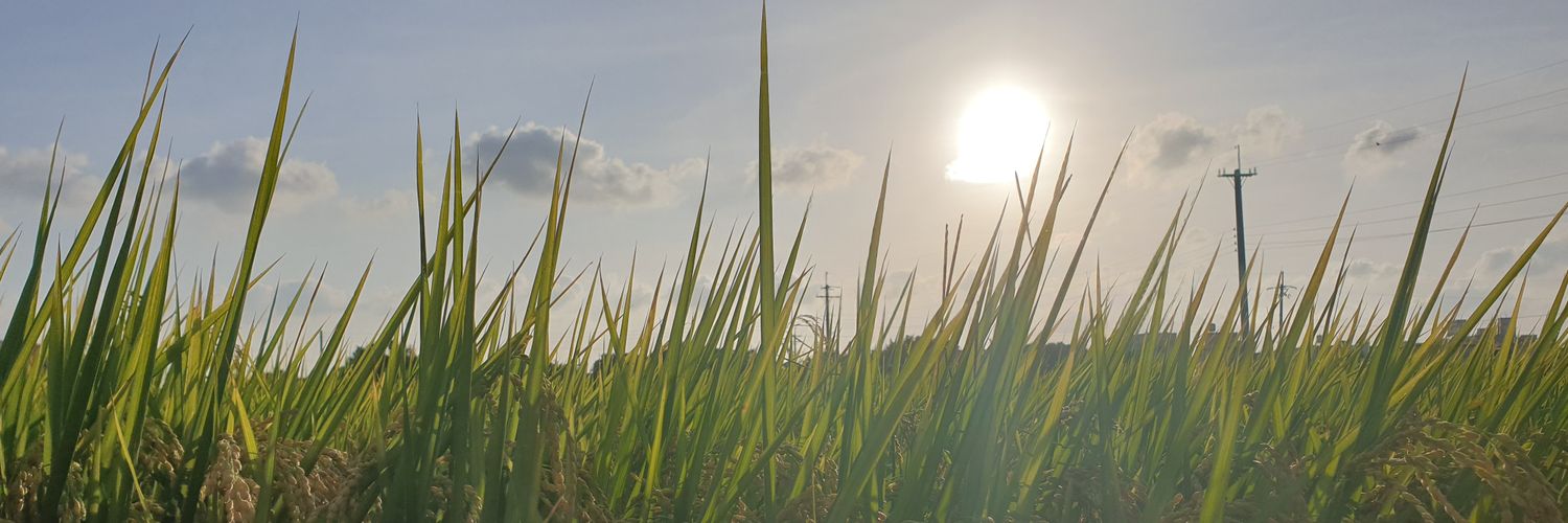 阿和 🐮♎ banner