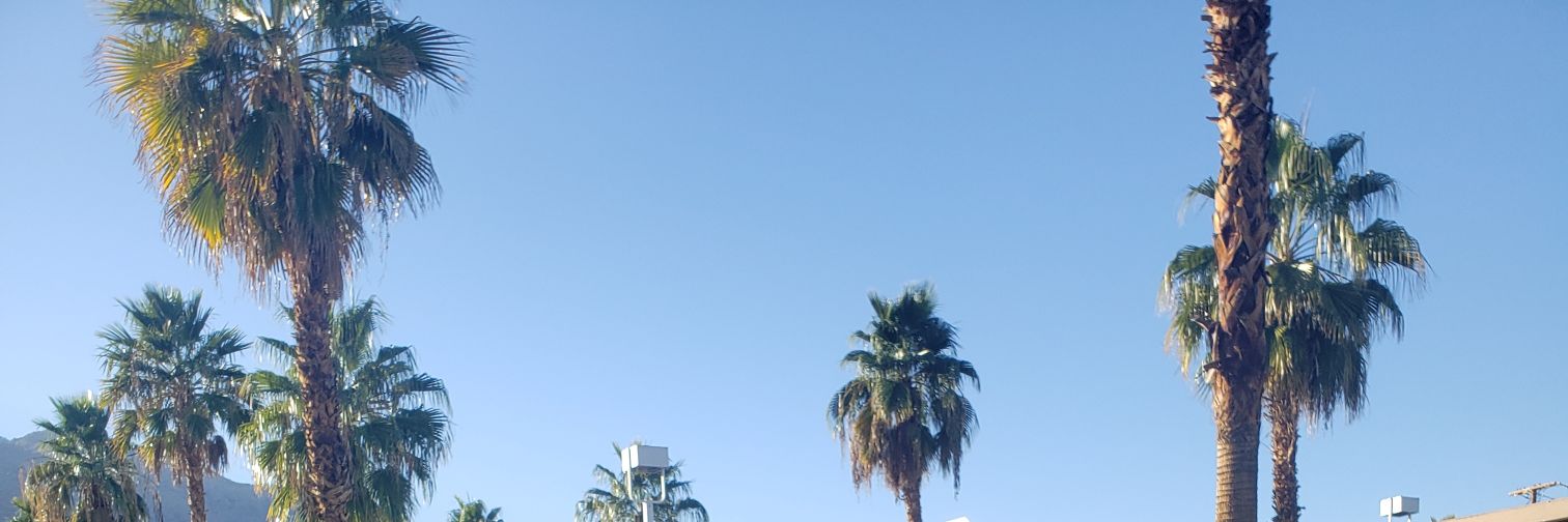 Freddy Merola56 banner