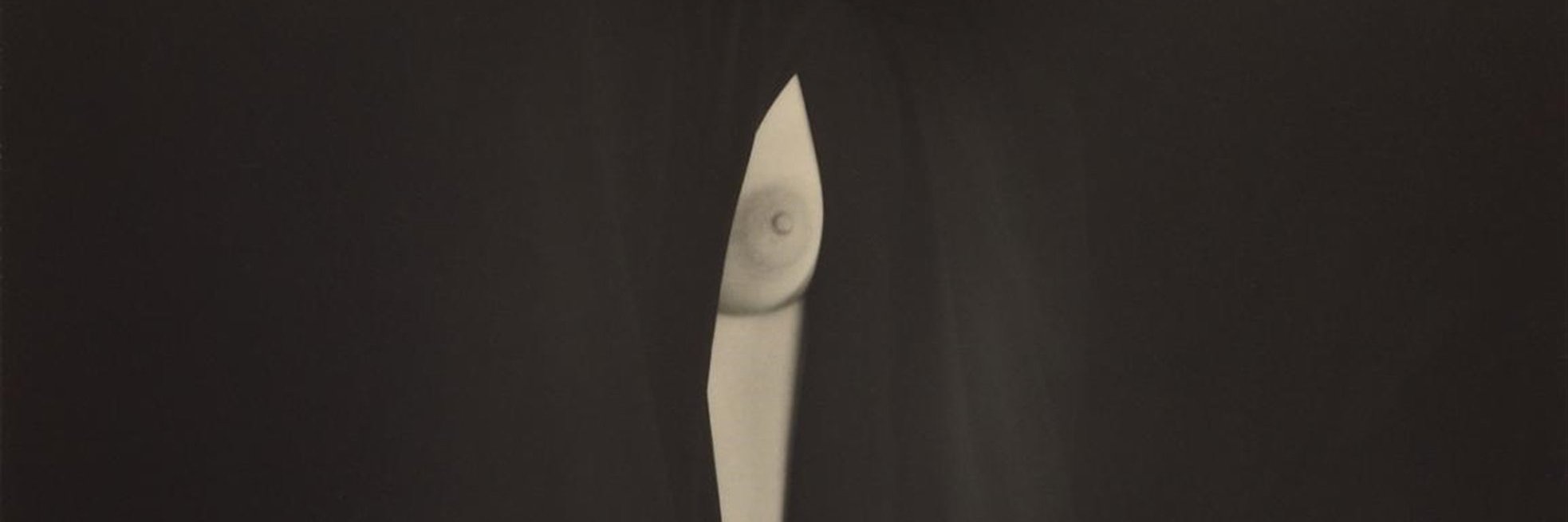 annvican's profile banner image