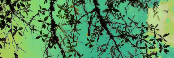 NatuTejedor Profile Banner