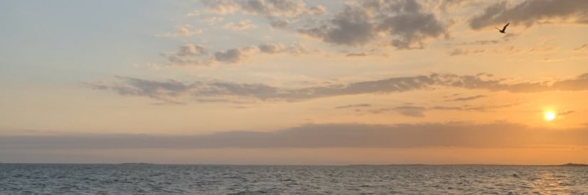 sxlrgz's profile banner image