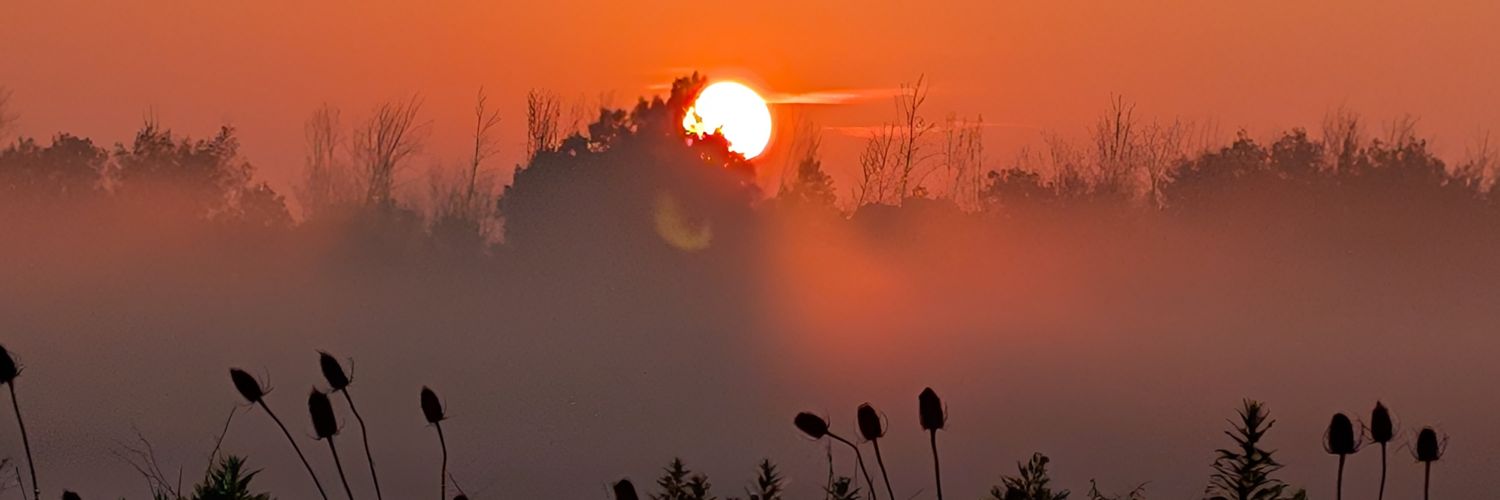 Lighthouselove7's profile banner image