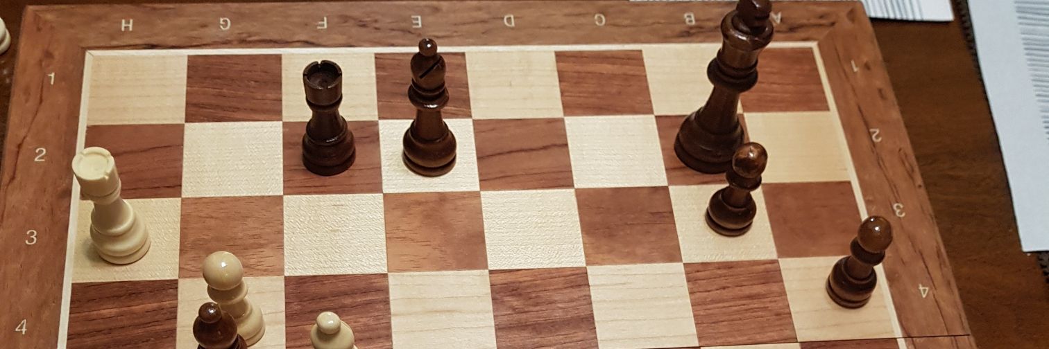 riccardo benini banner