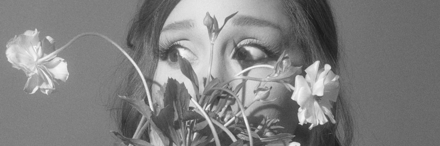 imperfectpetal's profile banner image