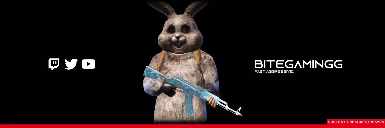 BiteGamingg's profile banner image