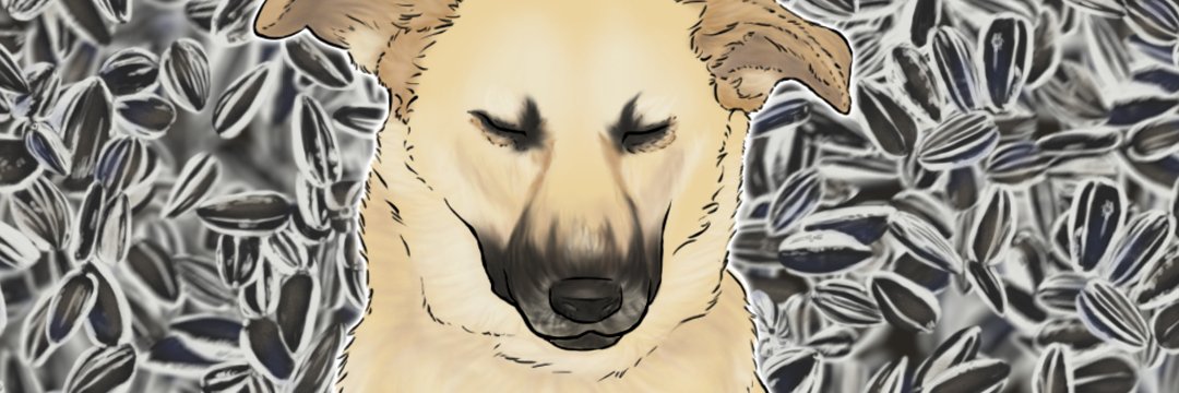 Gravenimage__'s profile banner image