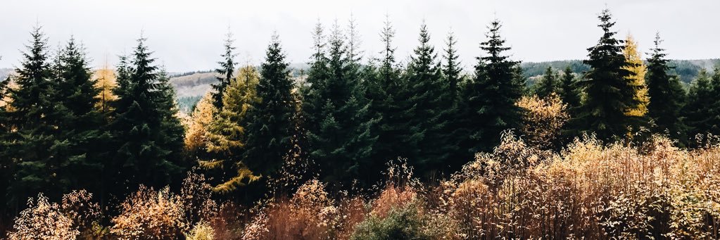 monno_life's profile banner image