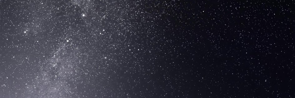 John Williams banner