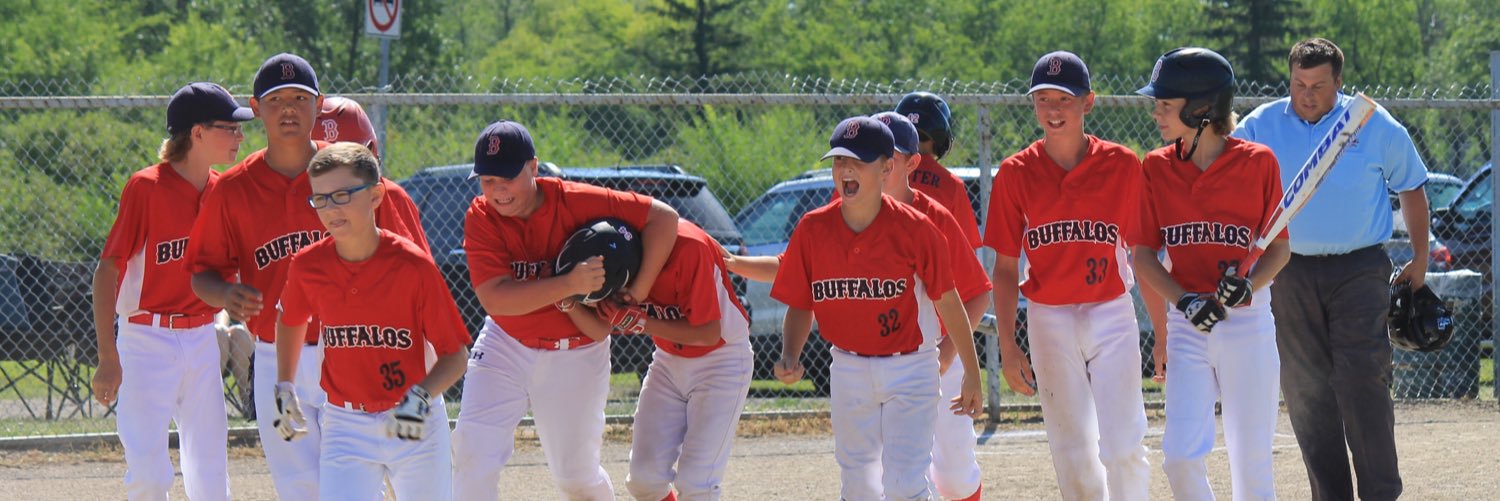 Baseball Regina banner