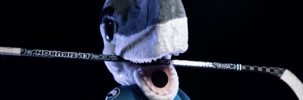 csuboy99's profile banner image