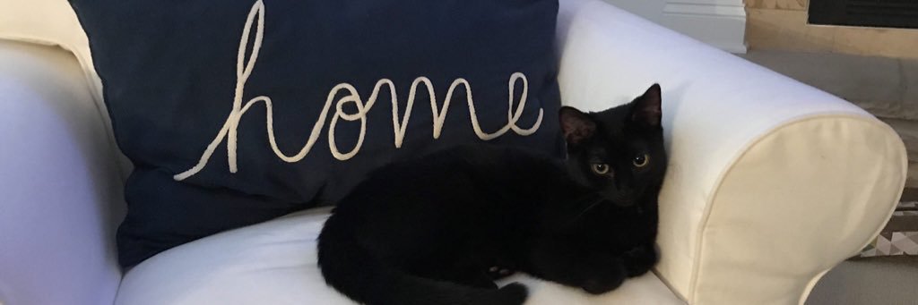 Cozy Cat Cottage banner