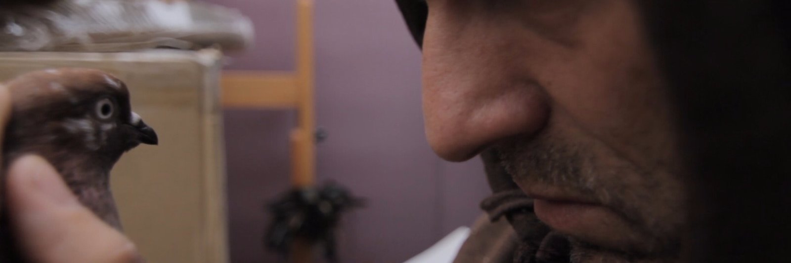 FedeBuso's profile banner image